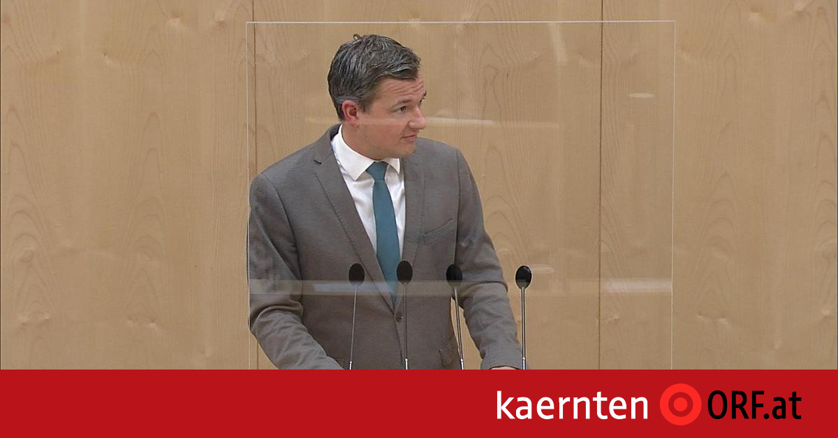 Claim of plagiarism: ÖVP calls board meeting