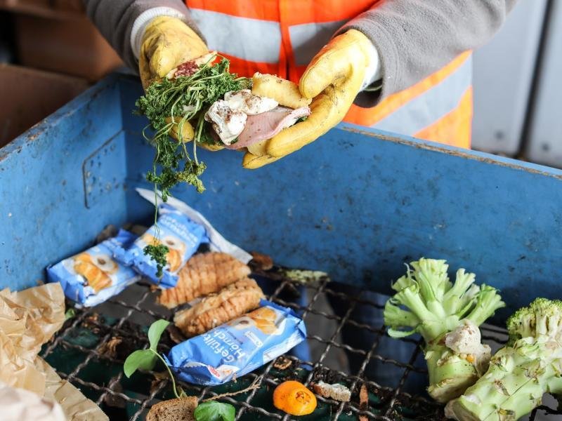 17 percent of all food worldwide ends up in the trash |  Free Press