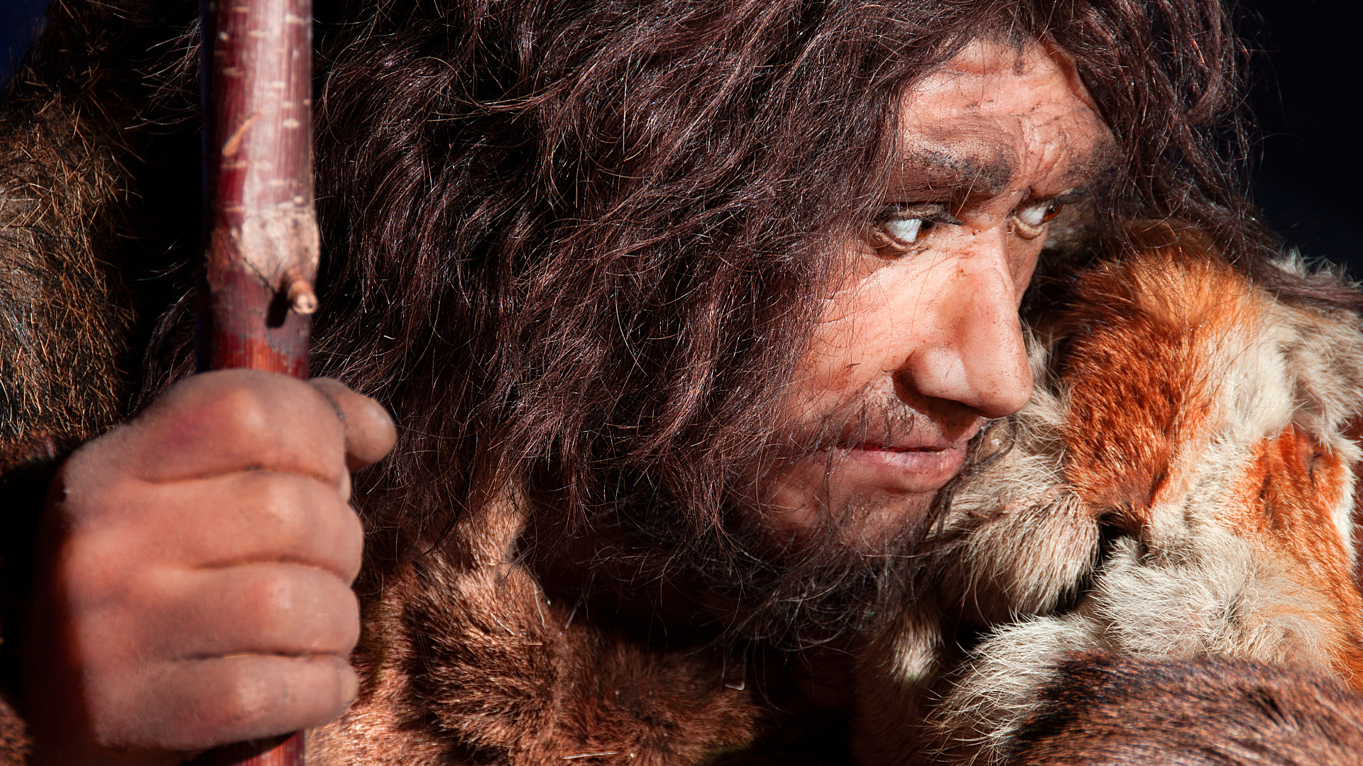 Neanderthal language - the spectrum of science