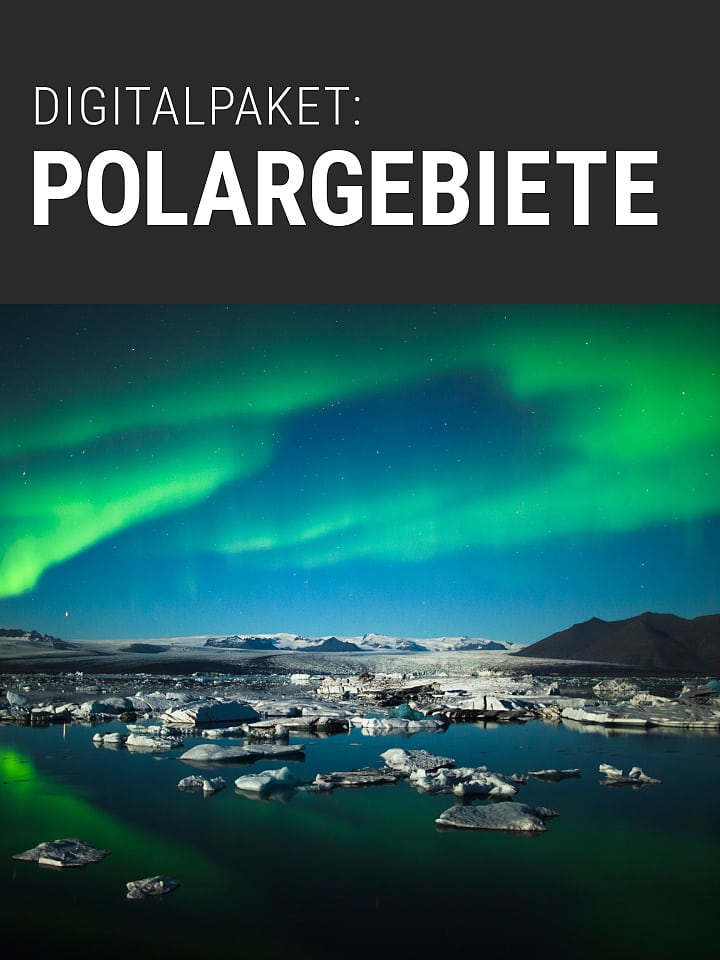 Heftcover Spektrum.de Digitalpaket: Polargebiete