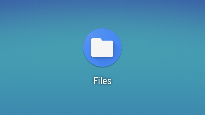 Delete large space in Play Store, which puts file managers at risk