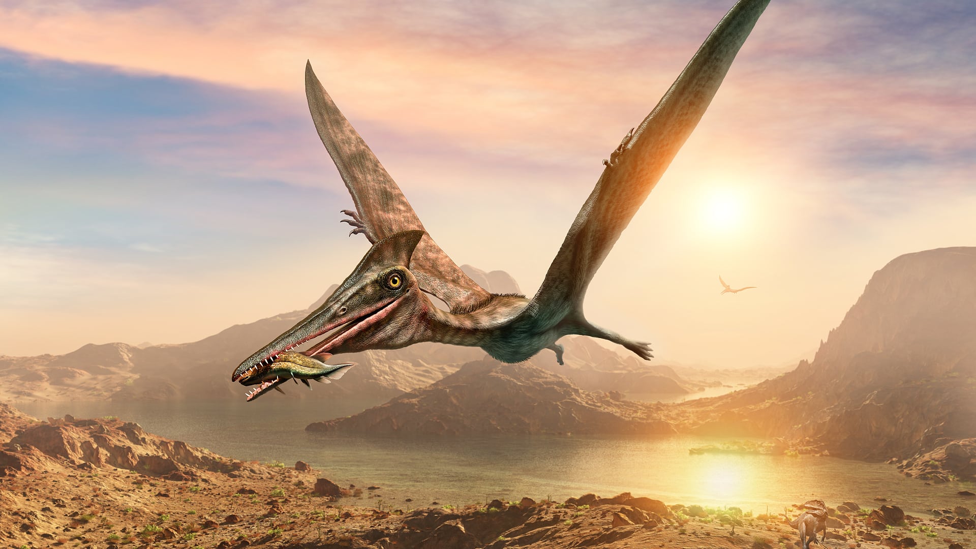 Pterosaurs: Pterosaurs have very light bones
