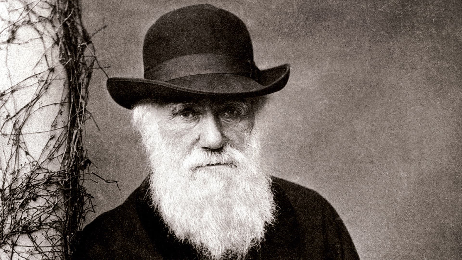 Should Darwin's theory of evolution be modified?
