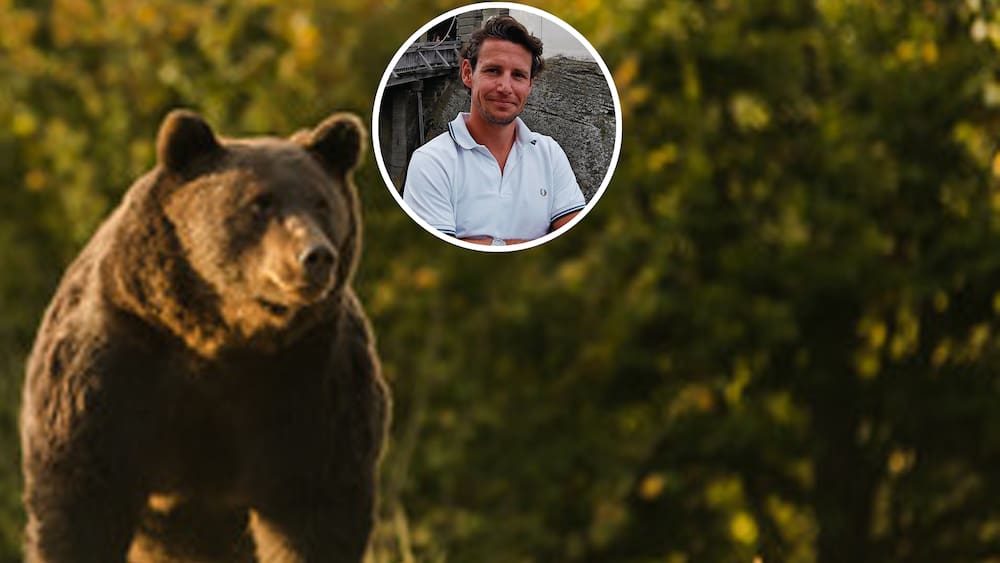 Prince of Liechtenstein shoots the largest brown bear in Europe