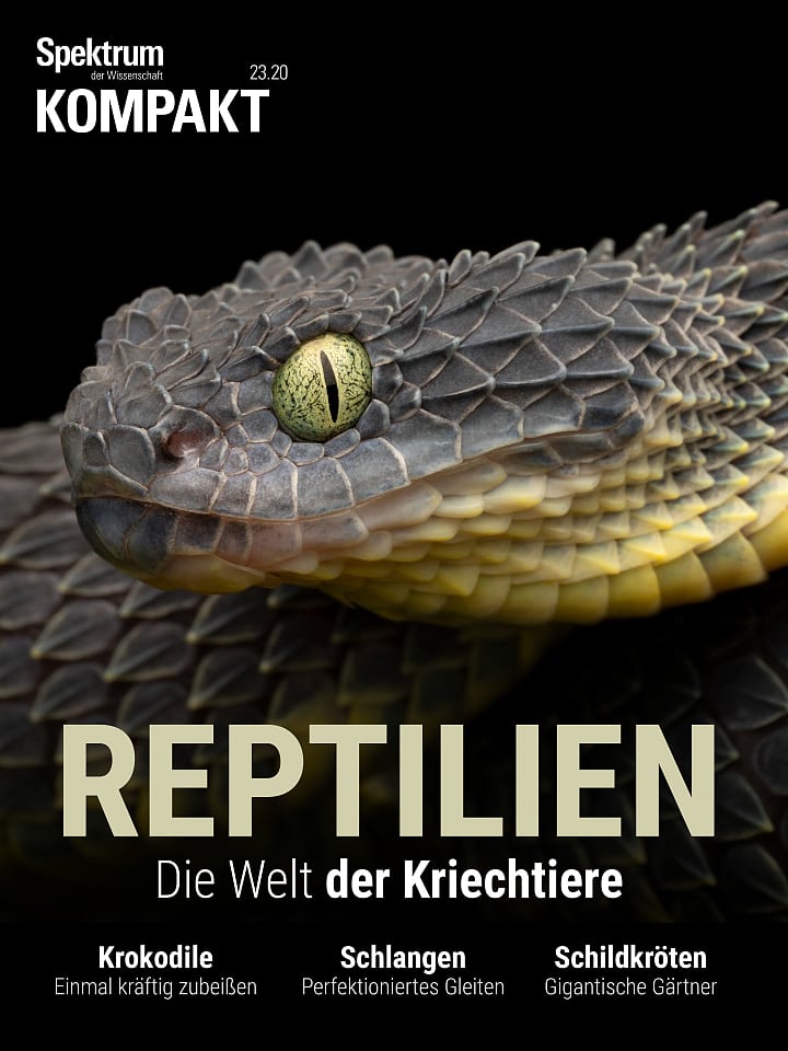 Spectrum Agreement: Reptiles - The World of Reptiles