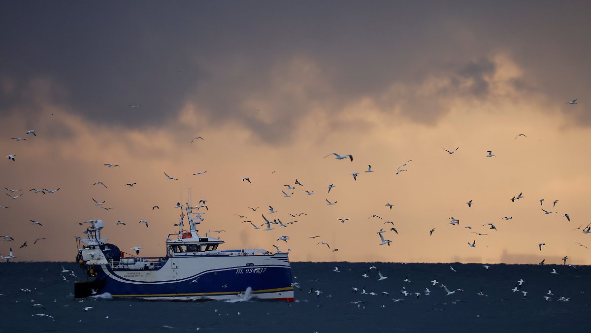 For joint fish stocks: catch quotas are agreed by the European Union and Great Britain