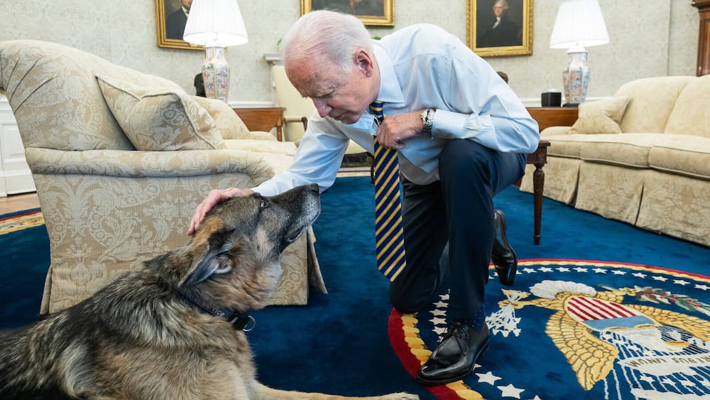 Joe and Jill Biden mourn deceased German Shepherd champion at the White House