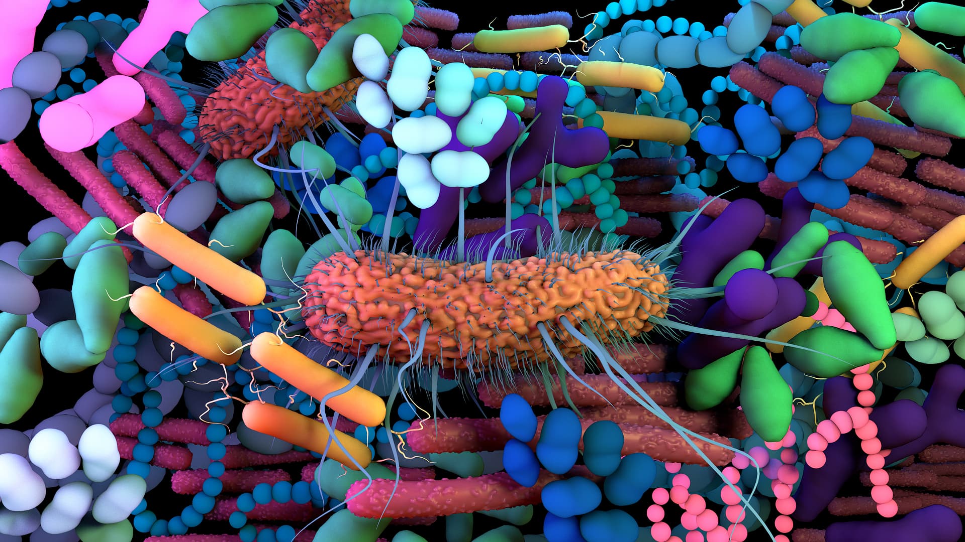 Microbiome Research: Traces of Unidentified Bacteria Everywhere