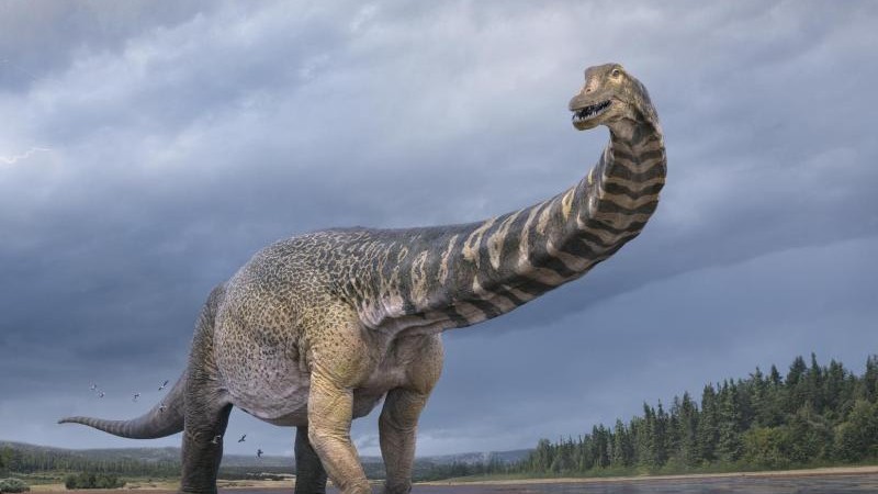 Science - Titan of the Cretaceous period: identification of new types of dinosaurs - knowledge