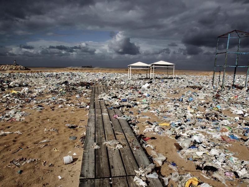 Study: Plastic waste drifts in the sea, especially near the coast |  free press