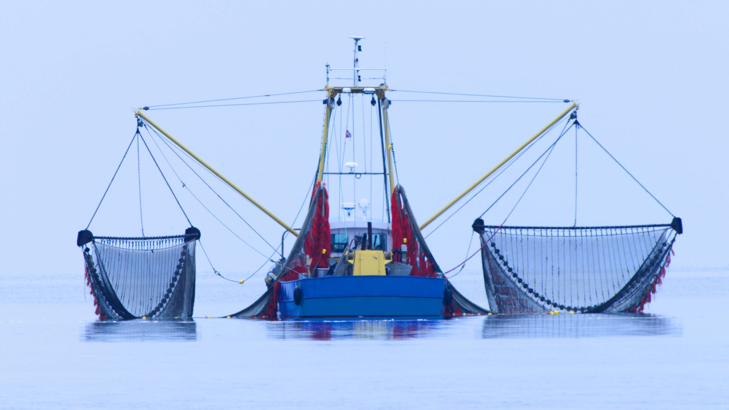 The European Union and the United Kingdom agree on fishing quotas