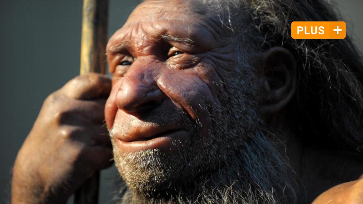 Science: Are We Closer To "Dragon Man" Than Neanderthals?