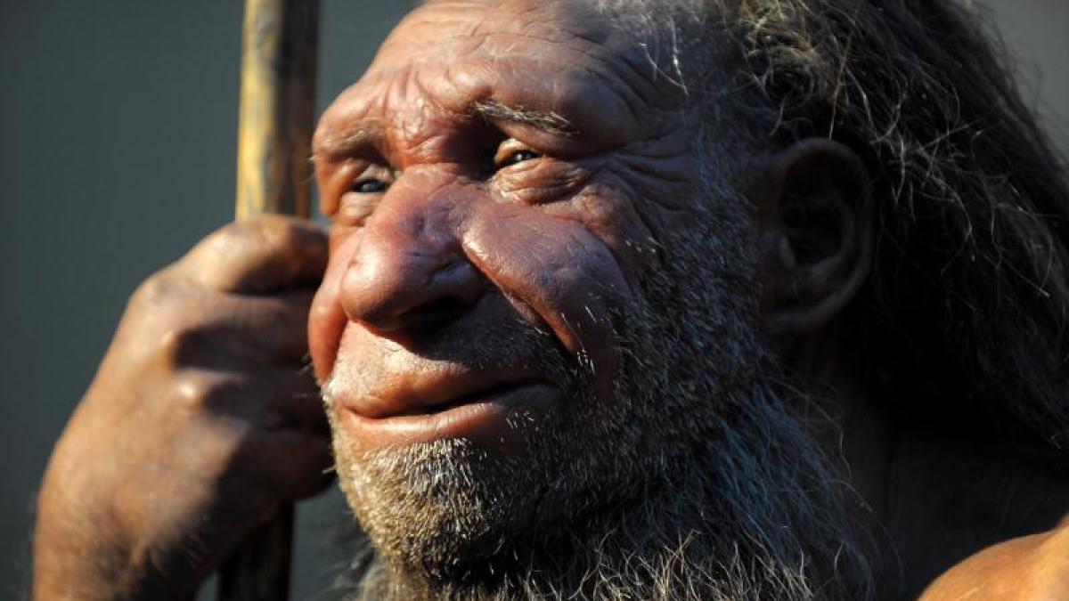Science: Disagreement Among Experts: Are We Closer To "Dragon Man" Than Neanderthals?