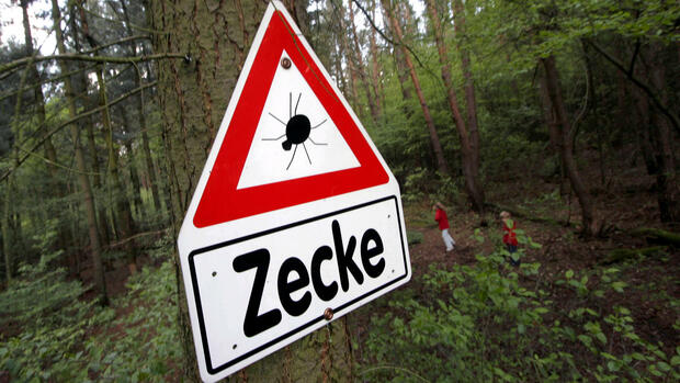 Tick ​​risk increases: what helps against ticks