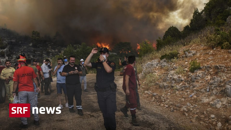 Heat and storms - Firefighters battle wildfires in southern Europe - News