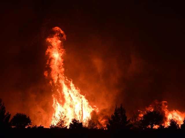 A high flame can be seen beside the bushes.