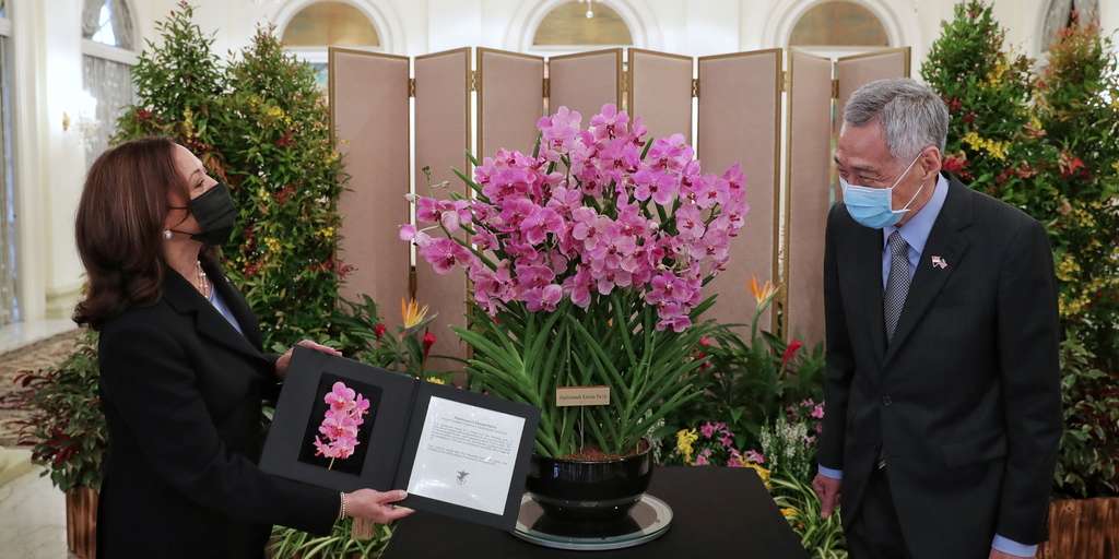 Singapore names Orchid after US Vice President Kamala Harris
