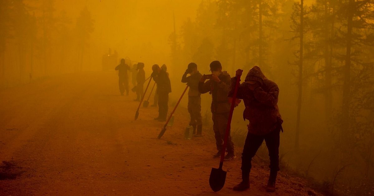 Climate expert: Russia's forest fires are "extremely worrying" |  Science