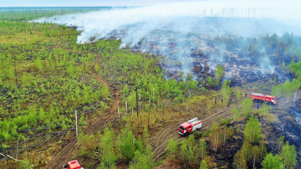 Forest fire disaster in Russia is spreading