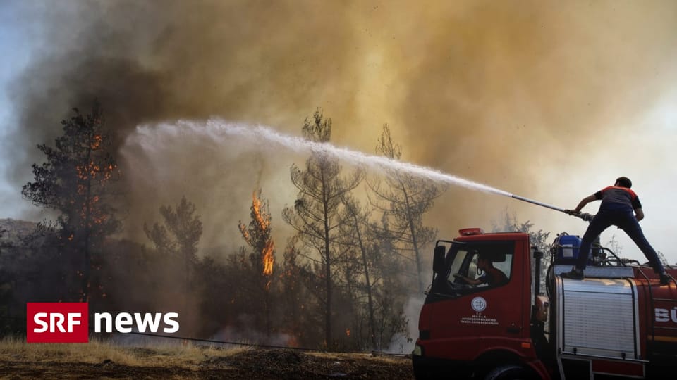 Heat and fire in Europe - Forests are burning in these European countries - News