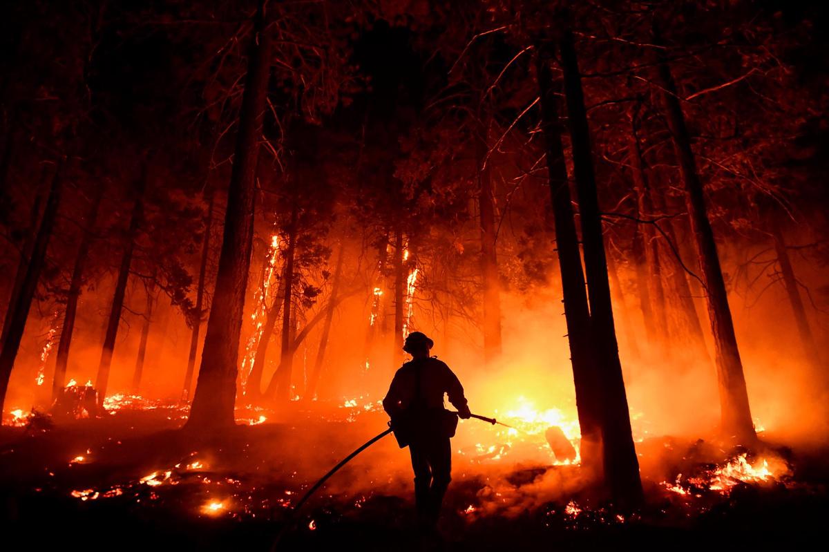 Tough battle: Firefighter Bruce Wills extinguishes a fire in Sequoia National Forest.  (August 25, 2021)