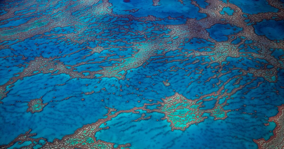 The Great Barrier Reef off Australia: How cloud makers want to save coral reefs