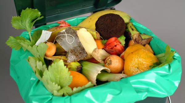 Fighting food waste |  wild animals