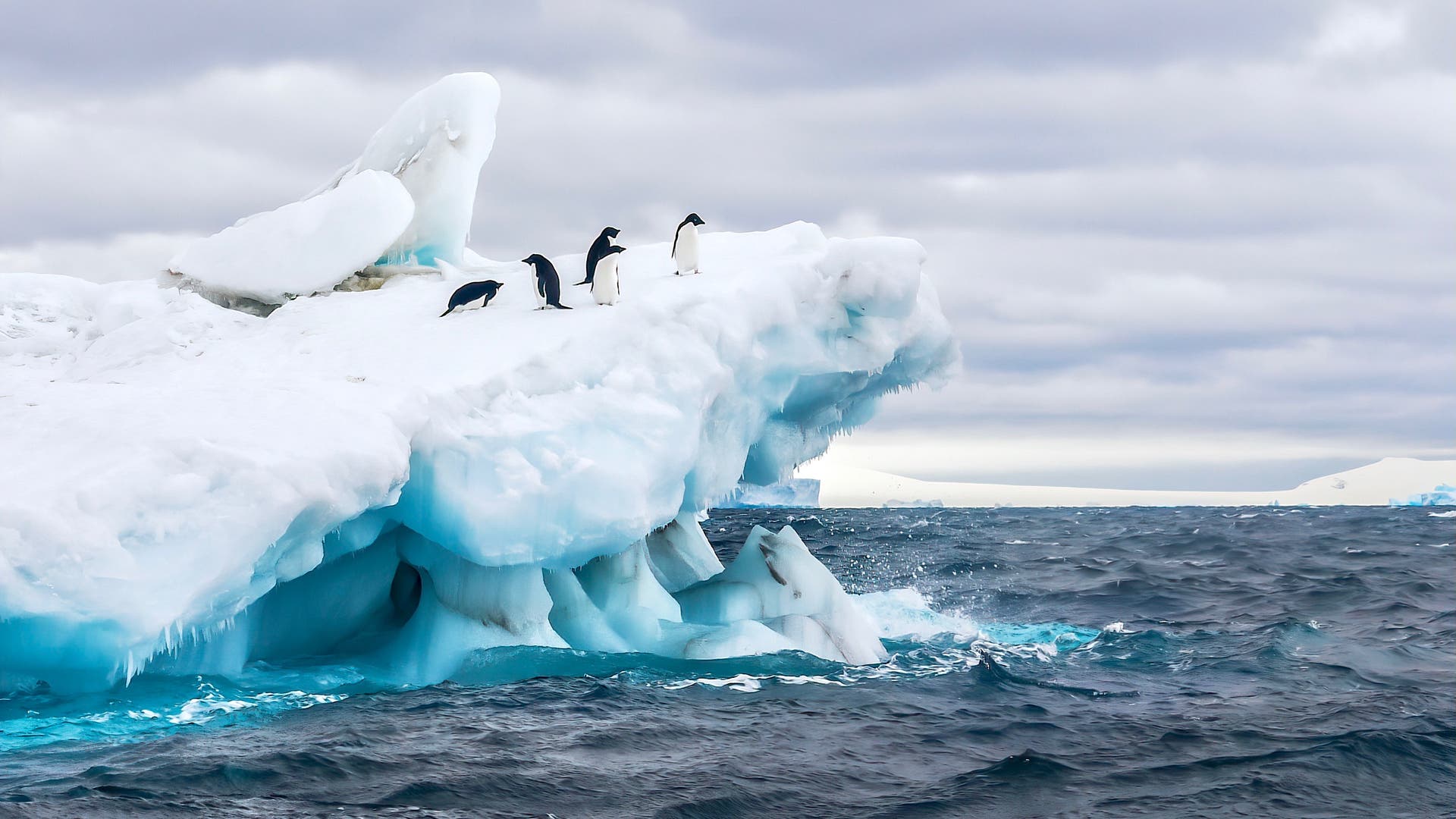 CCAMLR Conference: No New Marine Protected Areas in Antarctica