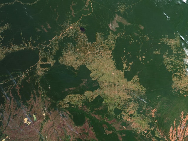 A satellite image of the Brazilian state of Rondônia from 2012.