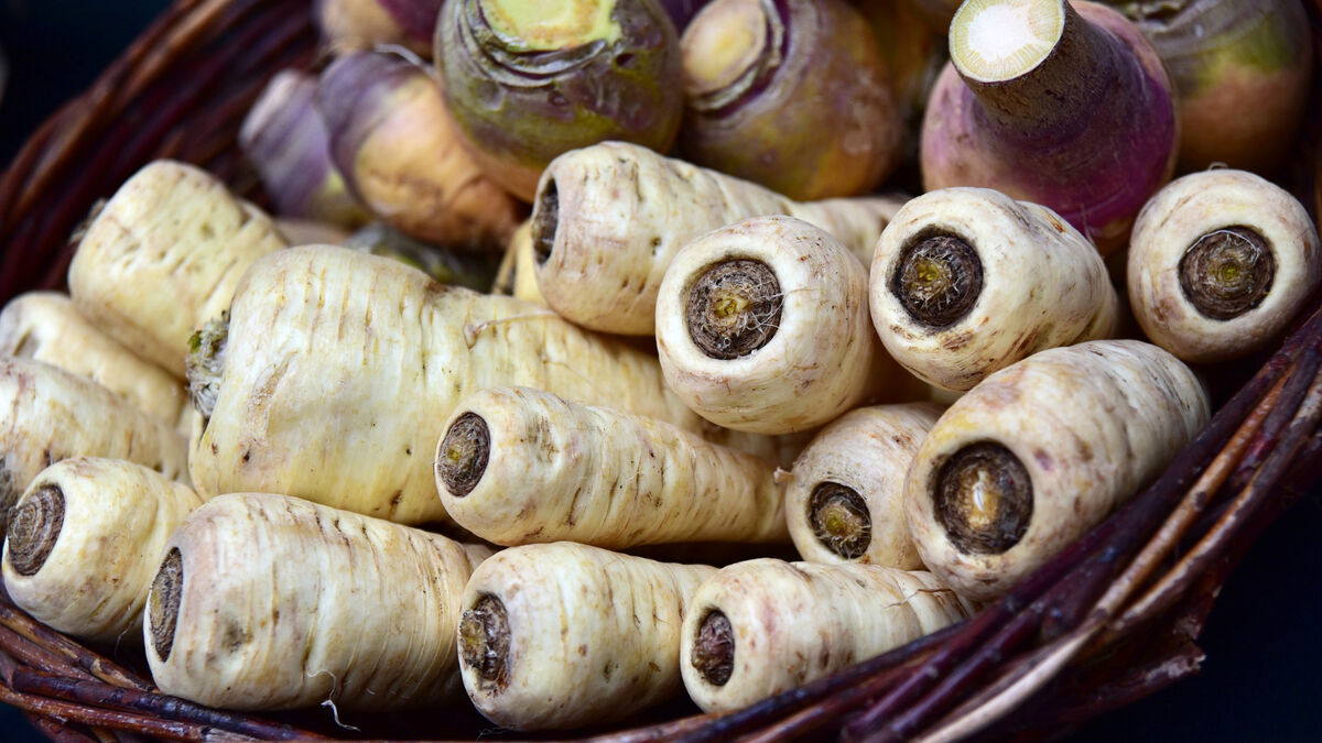 4 things that happen when you eat parsnips on a daily basis