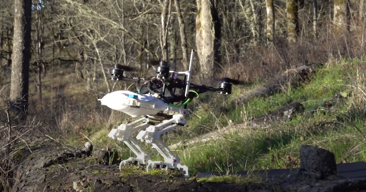 This drone is landing like a hawk