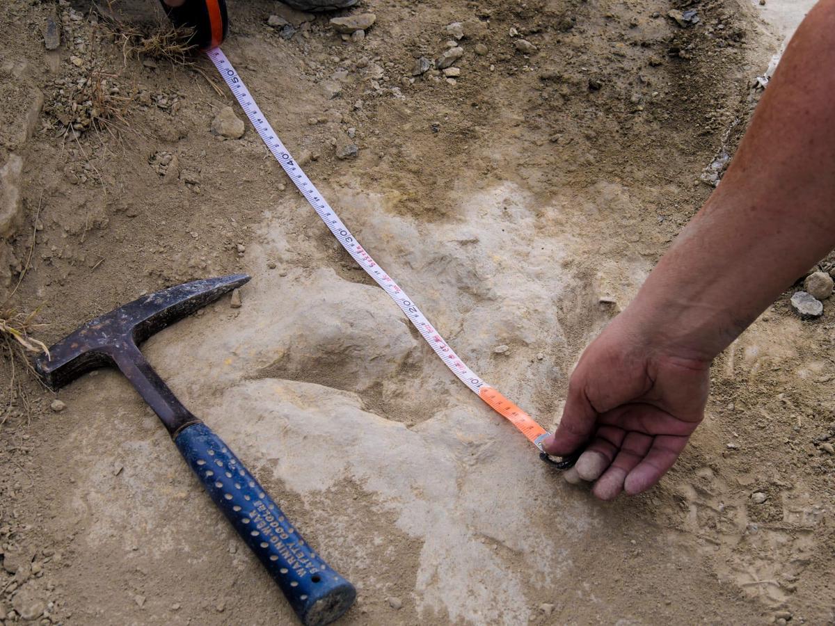 Researchers measure a dinosaur footprint near the town of Igea in northern Spain. 