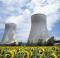 Nuclear power plants as energy suppliers 