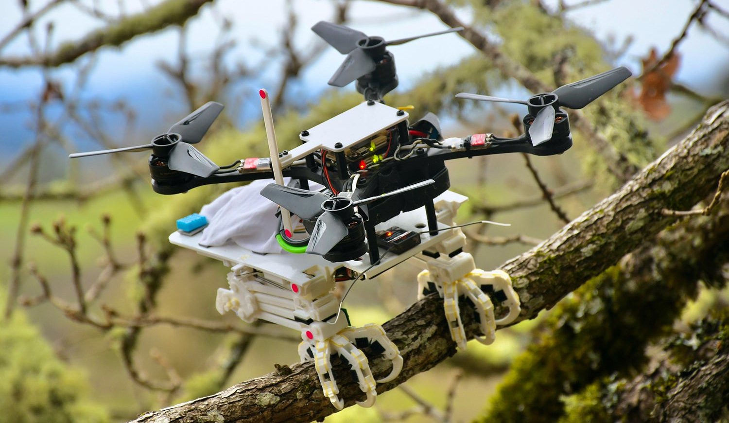 Grippy bird-inspired landing system for drones