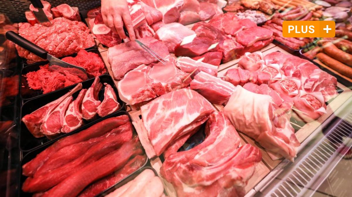 Nutrition: The Science: Why Eating Too Much Meat Makes You Sick