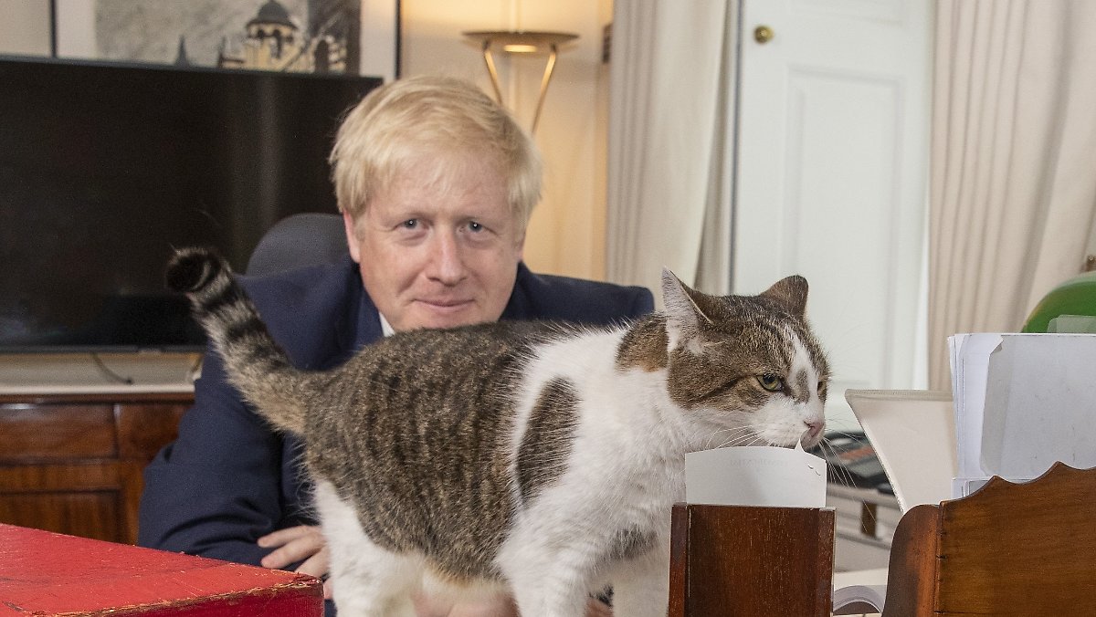 Are animals saved instead of people?: Email in Afghanistan points to Johnson lying