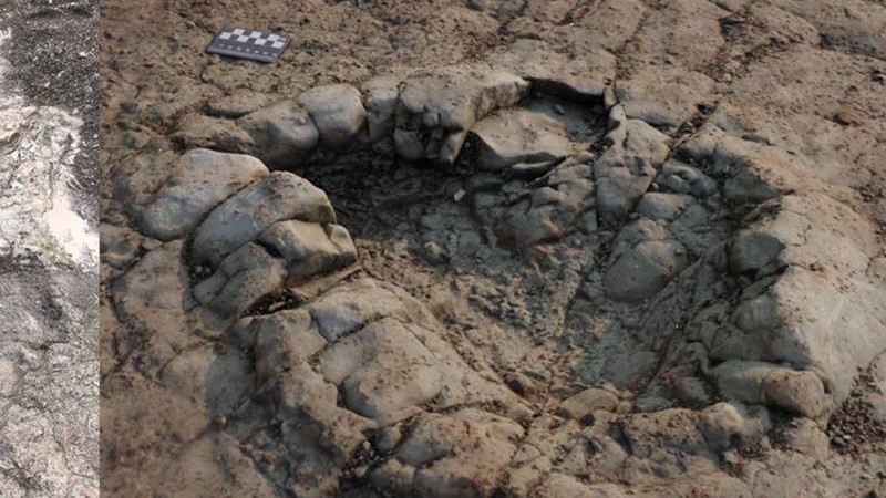Science - an amateur researcher discovers the track of a 200 million-year-old dinosaur