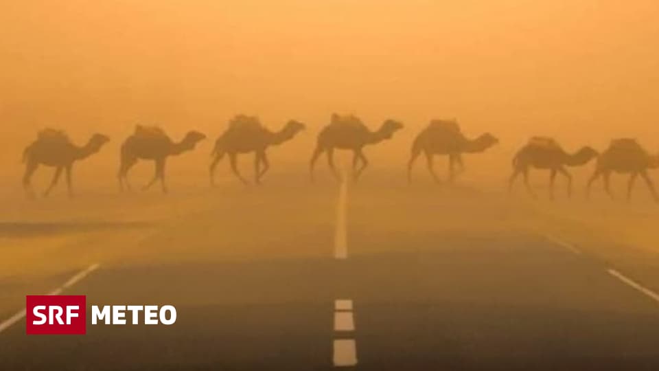 Desert dust: facts and figures - 60 thousand tons of desert dust in the air over Switzerland - Meteo