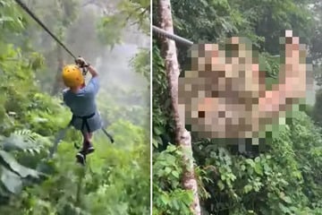 So what is this?  A boy flying through the woods on a zip line, suddenly crashes into an animal!