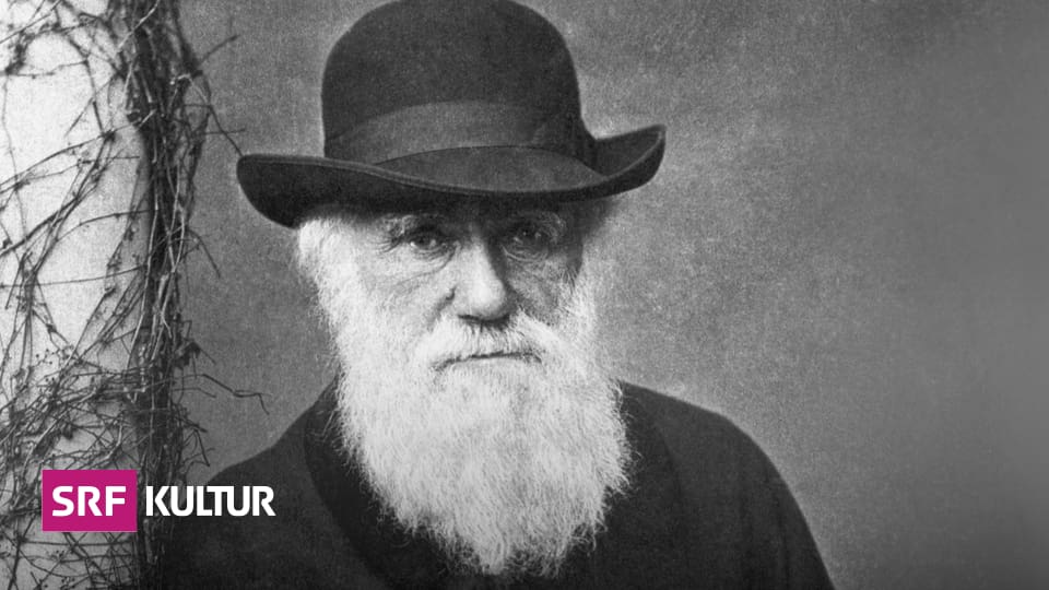 An unexpected Easter gift - Charles Darwin's lost notebooks are back - Culture