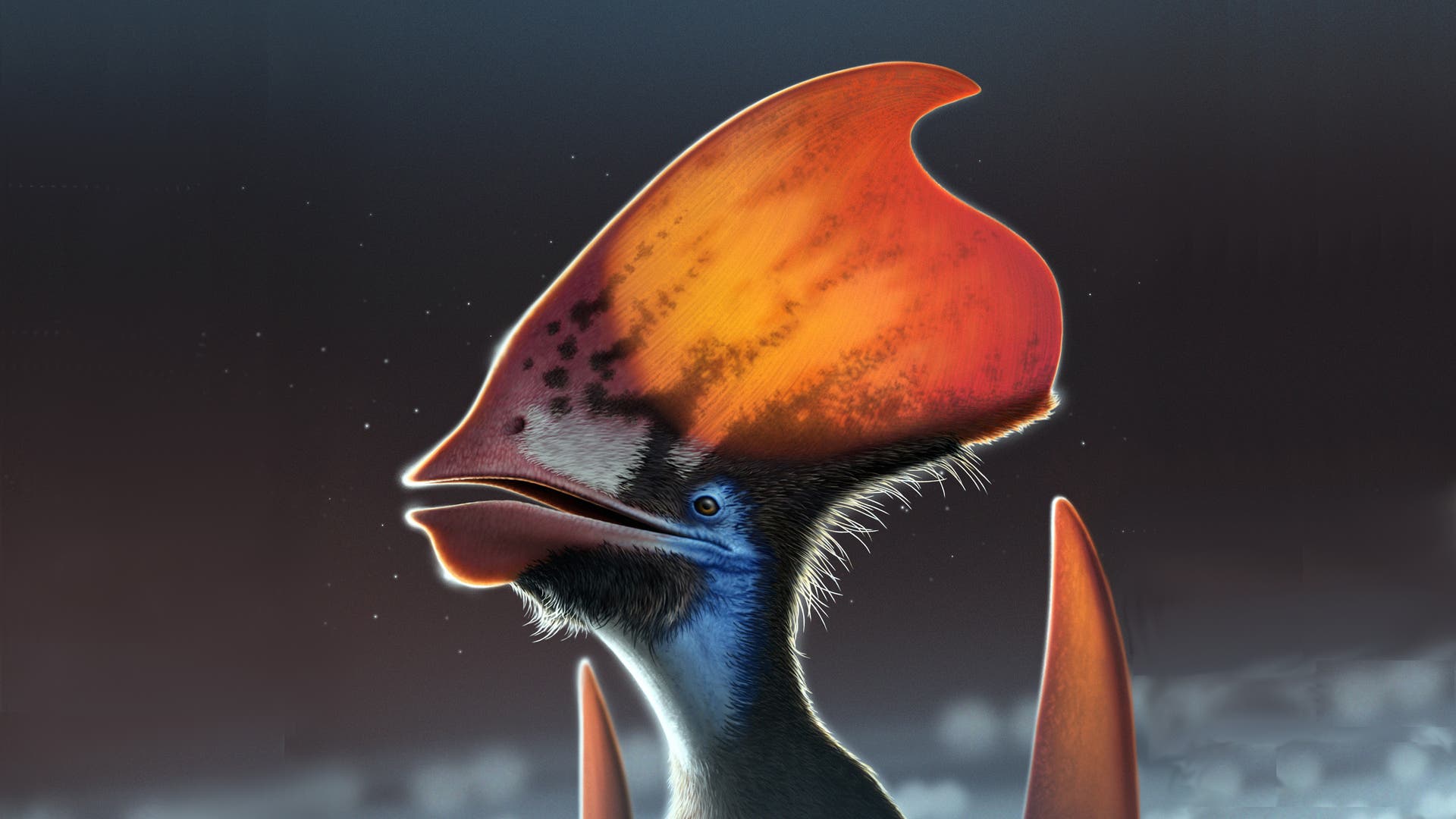 Dino debate: pterosaurs wore their own colorful feathers