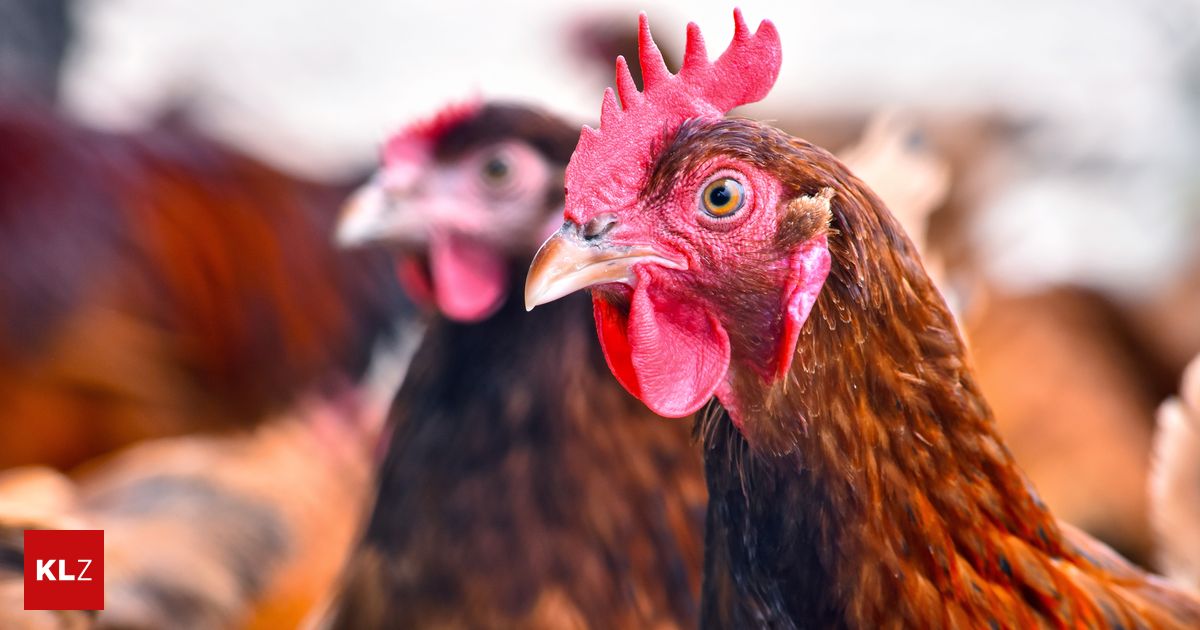 Viral disease: Human case of H5N1 bird flu reported in the United States