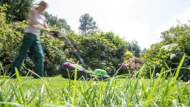 Normal in the UK: Why not mow your lawn now