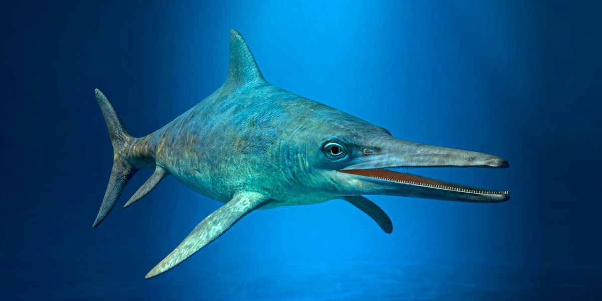 Austrian research team baffles "dinosaur fish" - paleontology