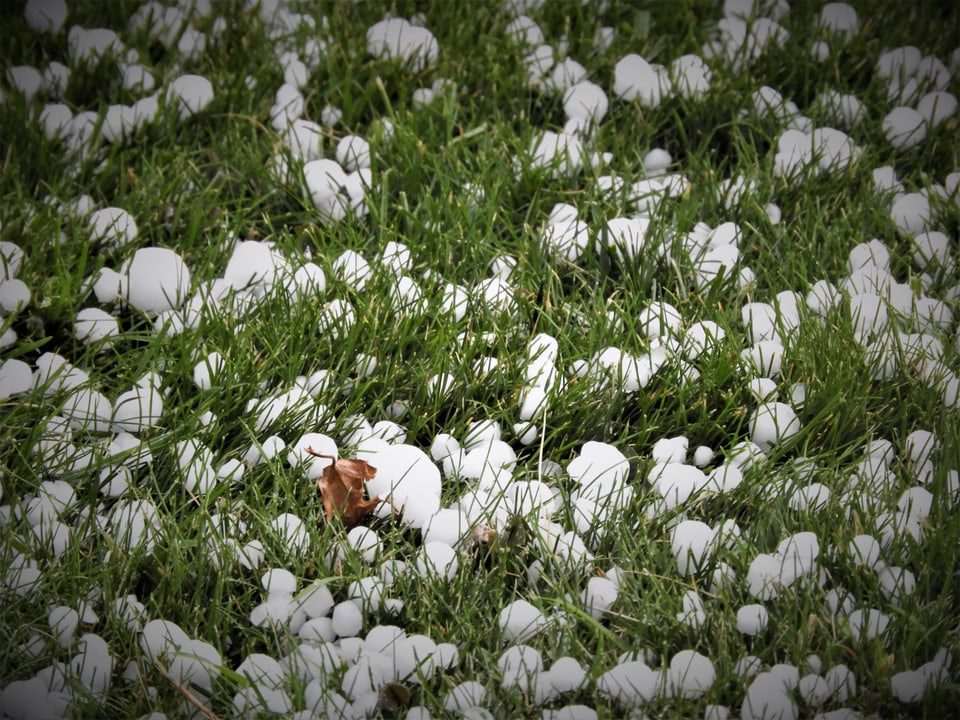hail in the grass