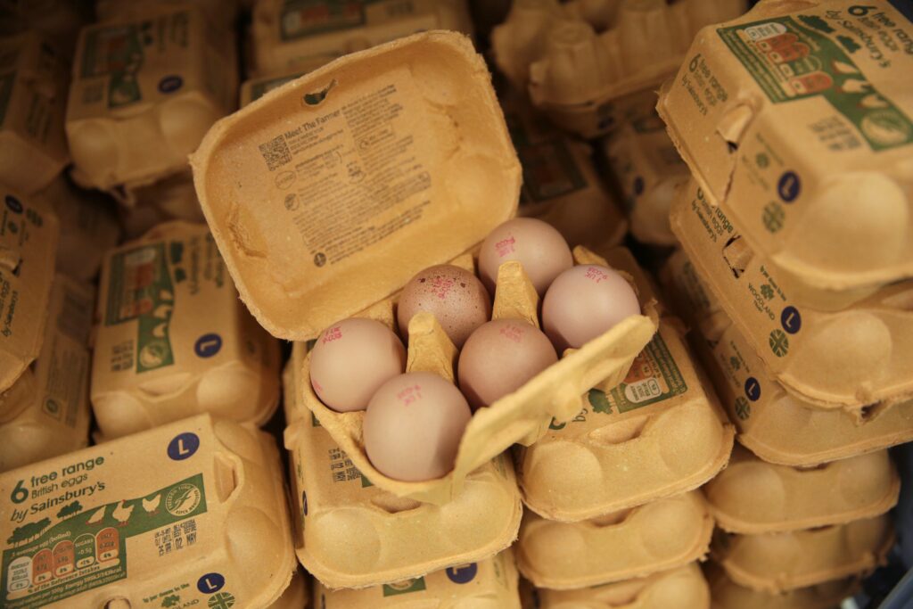 Free range eggs are back in supermarkets after an outbreak of bird flu forced farmers to keep chickens indoors