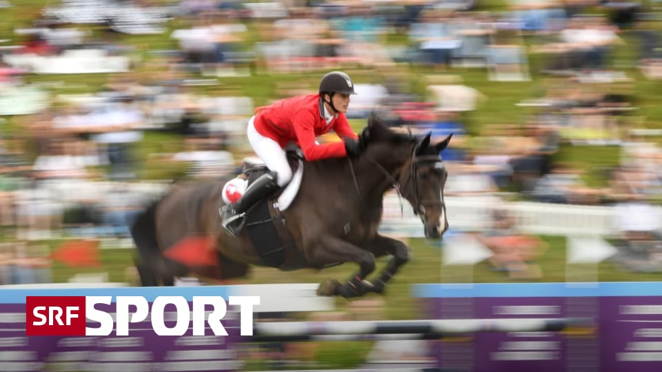 More sports news today - the second Swiss goalkeeper for showjumping is also convincing - sports