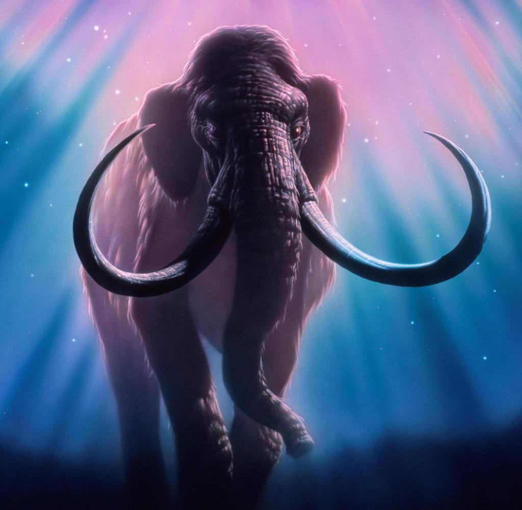 Mammoth (Mammudas sp.) Artwork at night below an auroral glow (pink) in the mammoth northern sky.  The mammoth is a large mammal that adapted to the cold conditions of the Pleistocene ice age about 2 million years ago.  It has spread across North America, Europe and Asia.  Its ivory length is more than 3 meters.  Closely related to the elephant, it is depicted in cave maps hunted by early humans.  Large mammoths were destroyed about 10,000 years ago by the retreat of glaciers.  Human poaching is thought to have hastened their decision.  Auroras are caused by particles charged from the sun (carried to the poles by the Earth's magnetic field) colliding with the atmosphere.