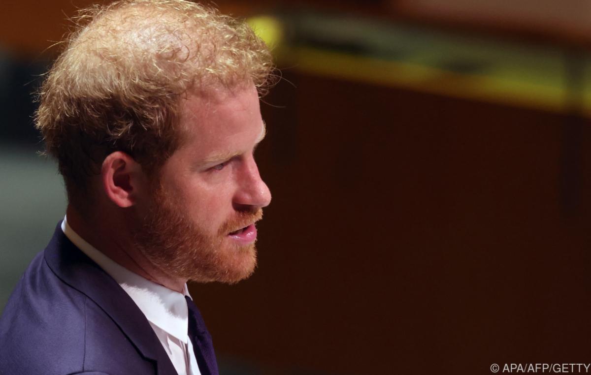 Prince Harry sued for police protection in Britain