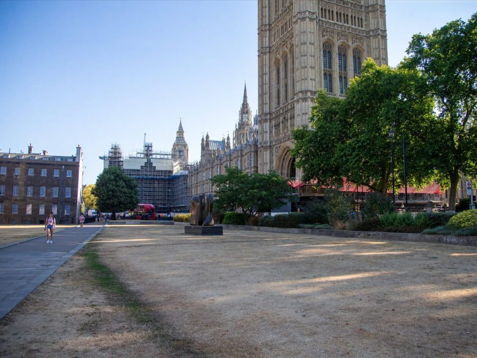 The grass in front of the Houses of the British Parliament is brown.